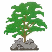 Silverdale Golf Club