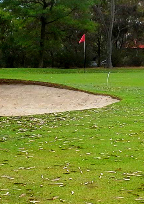 Royal Park Golf Course	