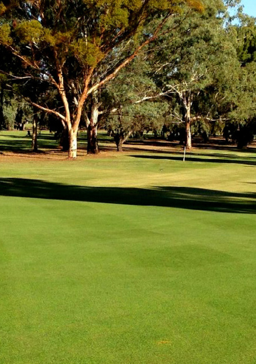 Renmark Country Club