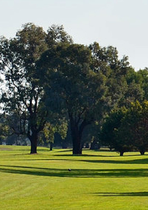 Rochester Golf Club