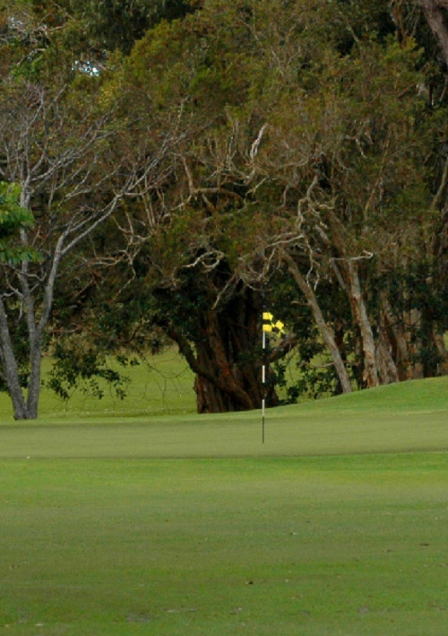 Sawtell Golf Club
