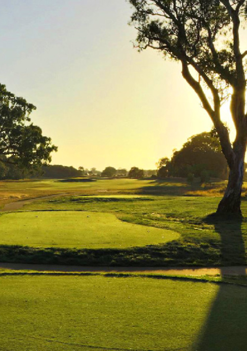 Sandhurst Club (North Course)