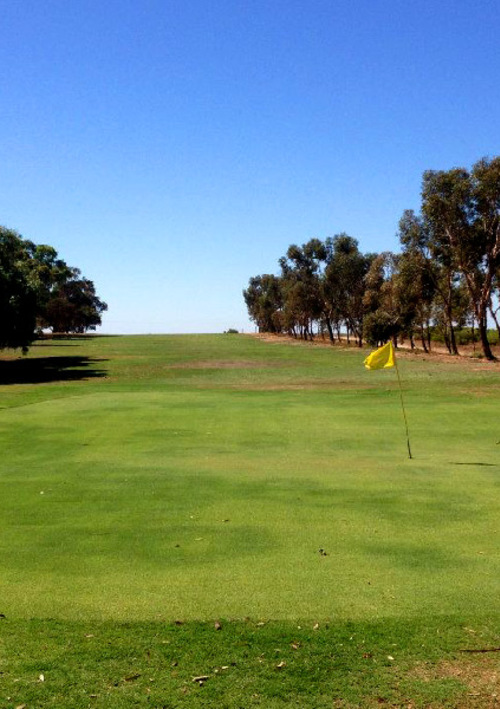 Swan Reach Golf Club	