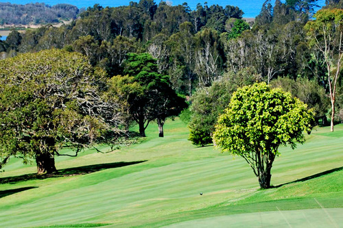 Tuross-Head-Country-Club_1.jpg