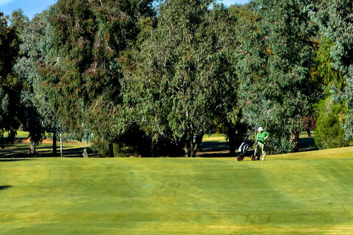 Tocumwal-Golf-club_1.jpg