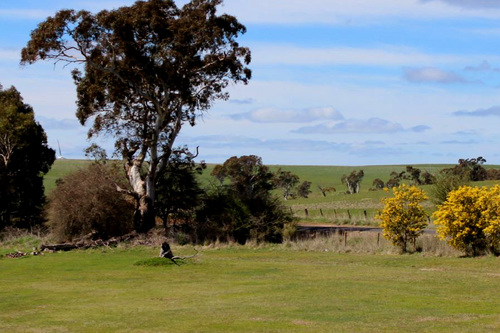 Taralga-Golf-Club_2.jpg