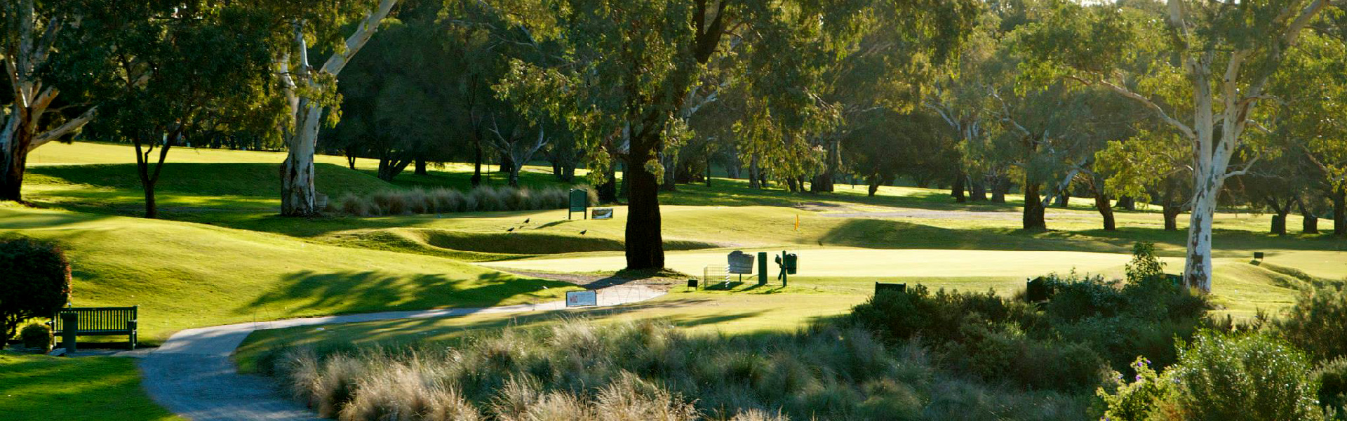 Vines Golf Club of Reynella