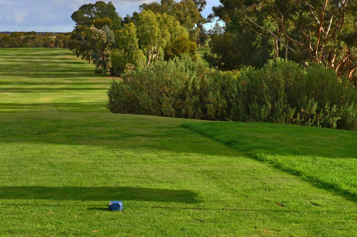 Waikerie-Golf-Club_1.jpg