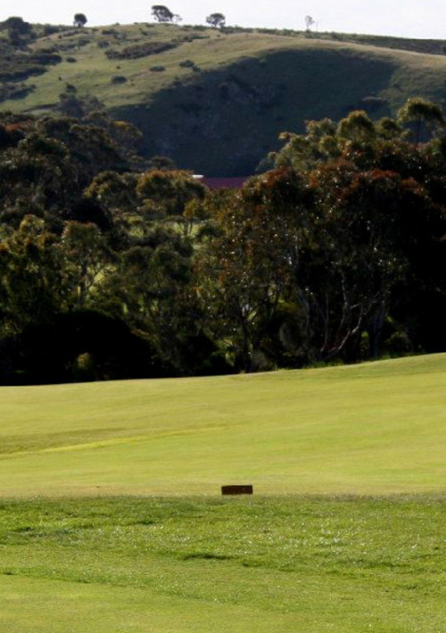 New Terry Hotel & Golf Resort	