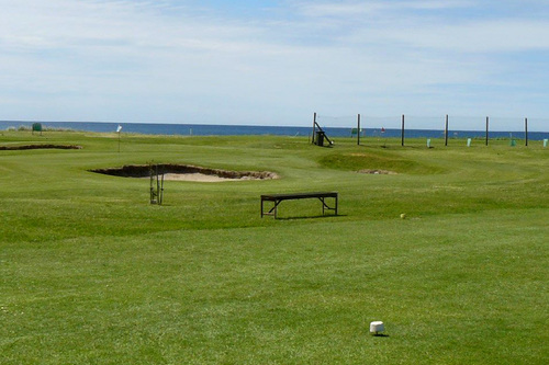 Wynyard-Golf-Club_3.jpg