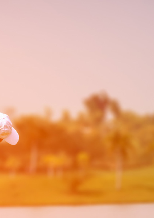 Darren Rowland Golf