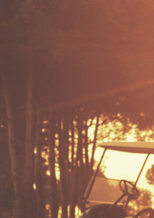 Battery Golf Buggies