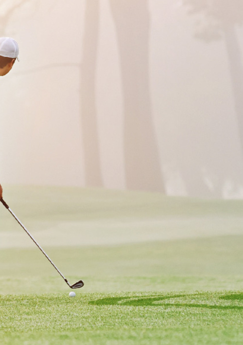 Electric Golf Trolley 