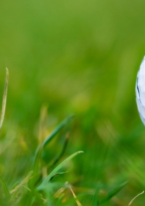 Nylanders Agencies & Yamato Golf Gear