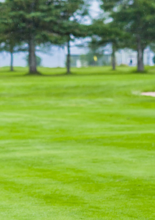 Motorised Golf International (WA)
