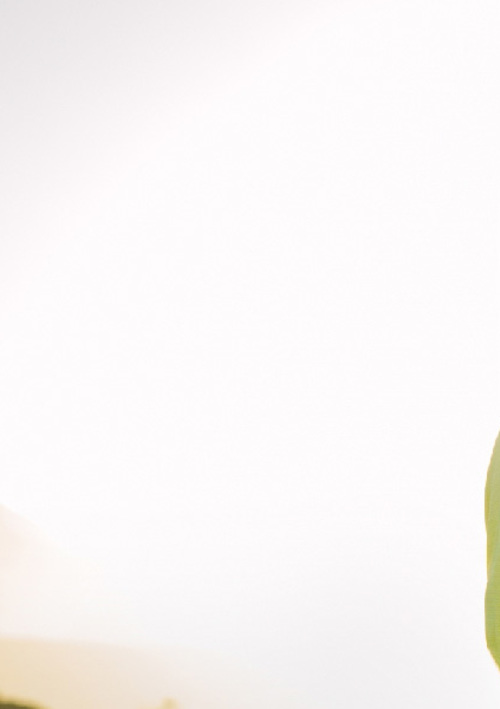 Spalding Park Pro Shop