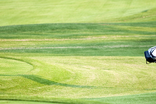 ryde-parramatta-golf-shop_2.jpg