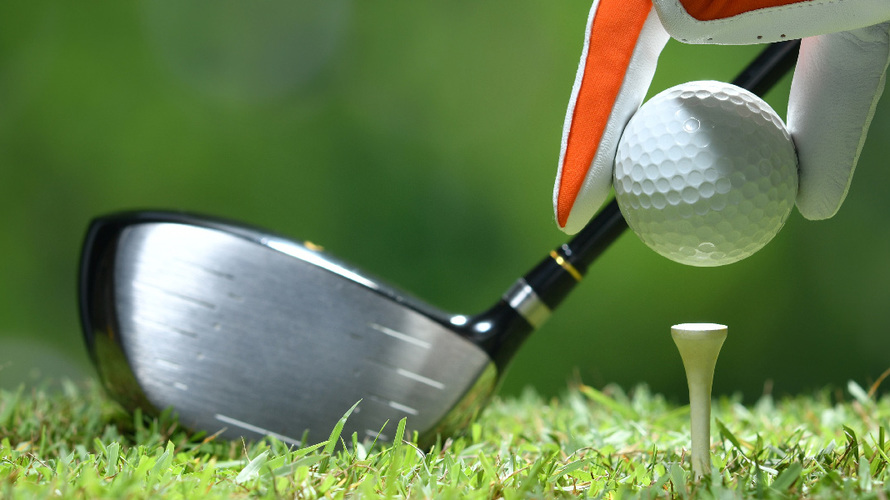 Pete's Golf Warehouse Gallery