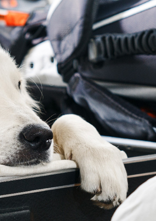 Mawhinney Pro Golf Shop