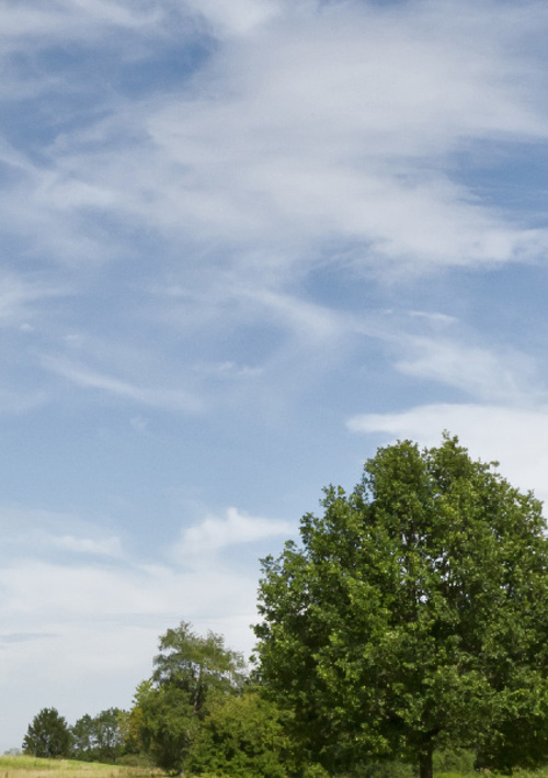 Indooroopilly Golf Shop 