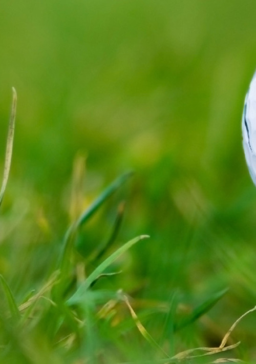 Patchwork Golf