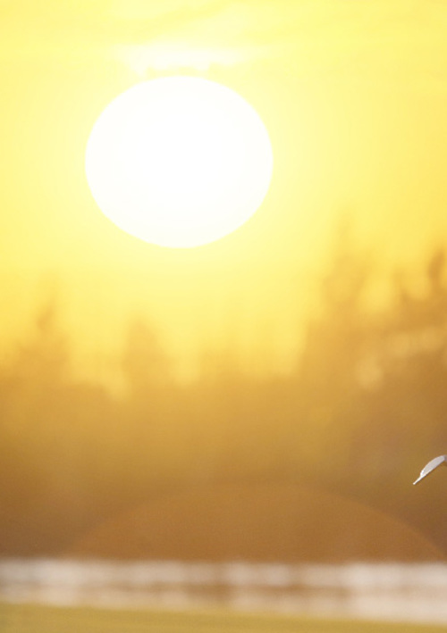 The House of Golf Hervey Bay