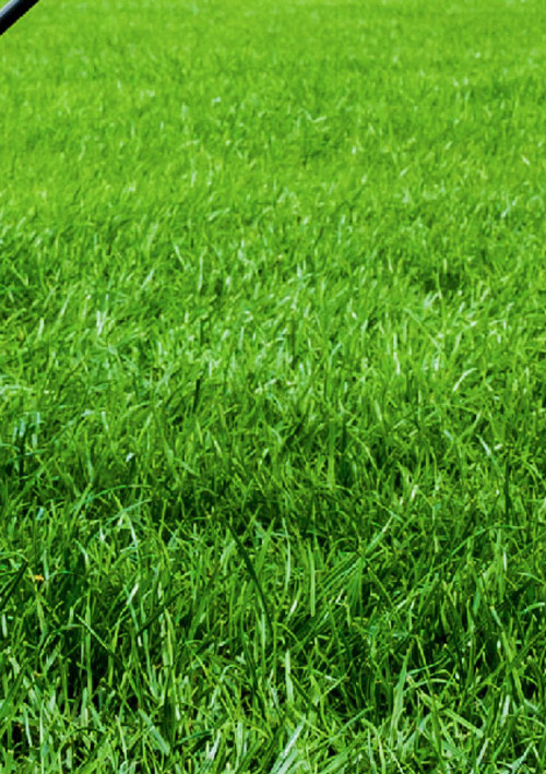 Mount Compass Golf Course Pro Shop