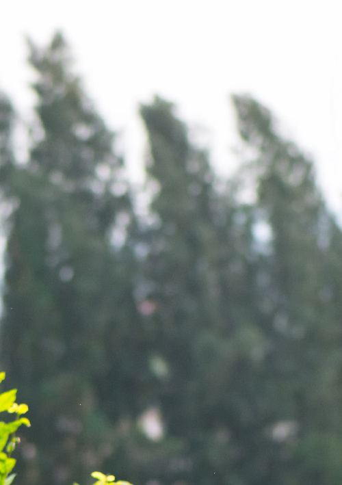 Gloucester Golf Shop