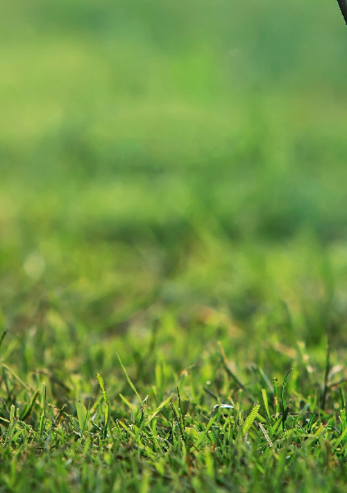 Melbourne Golf Academy