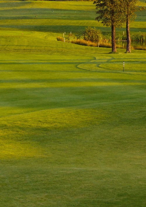 Murdoch Pines Golf & Recreation Park