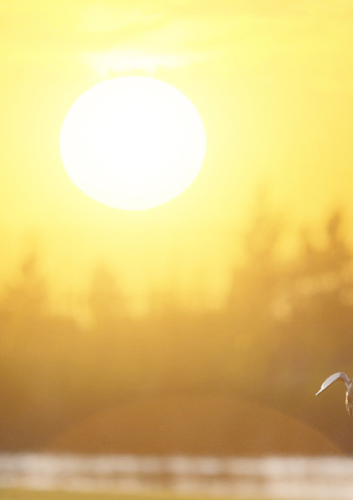 Wiradjuri Pitch & Putt Golf Centre