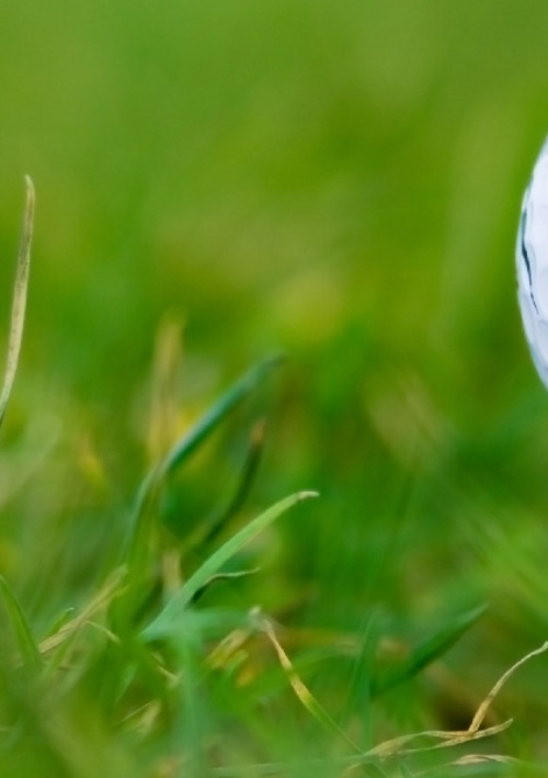 Llandilo Golf Driving Range
