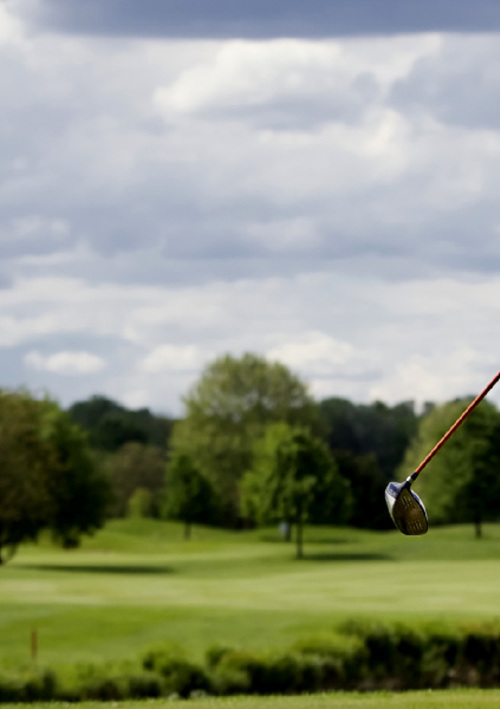 Court Action Emerald