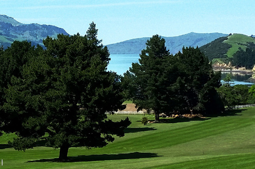 akaroa-golf-club_1.jpg