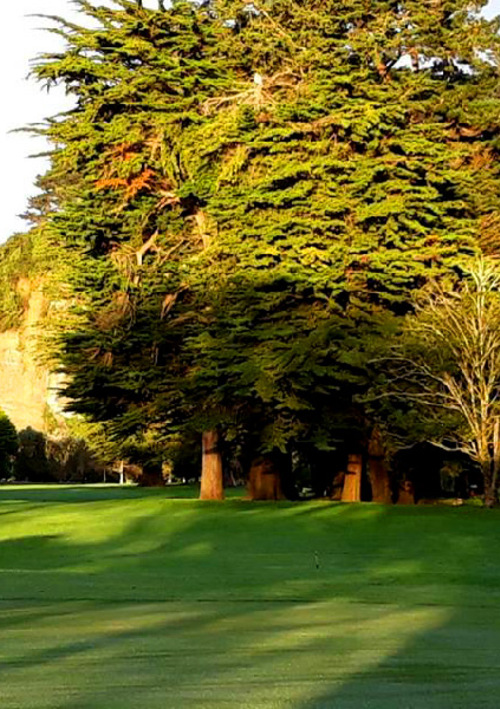 Eketahuna Golf Club