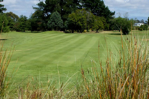 hastings-golf-club_4.jpg