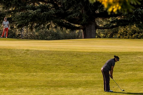 hastings-golf-club_6.jpg
