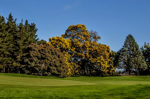 hastings-golf-club_5.jpg