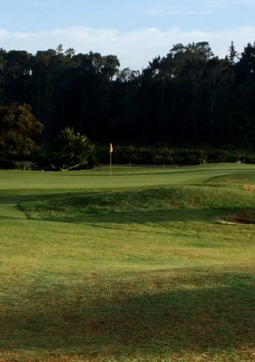 Huapai Golf Club