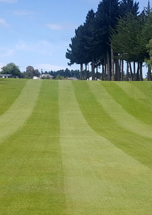 Island Park Golf Club