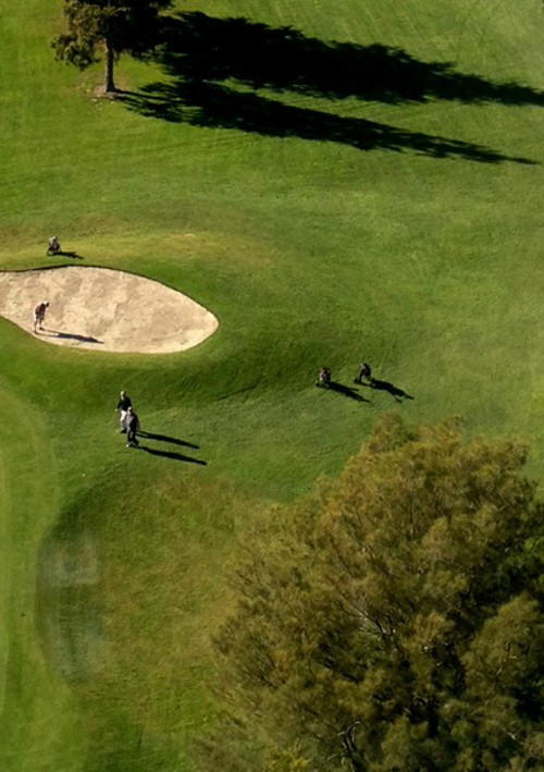 Napier Golf Club Inc.