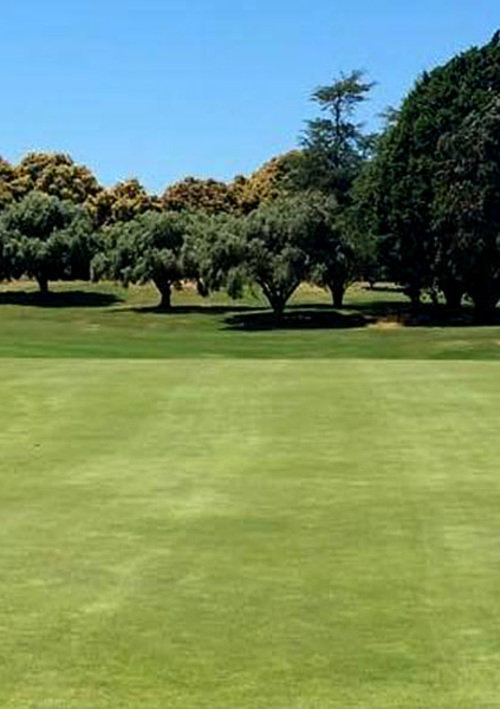 Omanu Golf Club