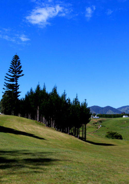 Opotiki Golf Club