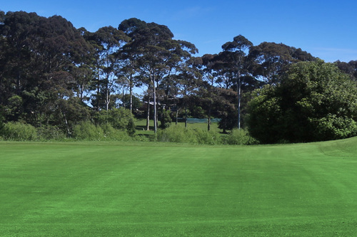 opotiki-golf-club_1.jpg