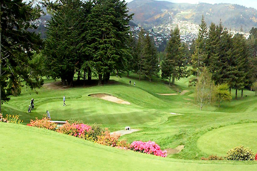 otago-golf-club_2.jpg