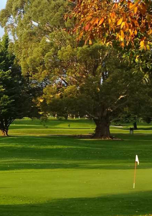 Palmerston North Golf Club