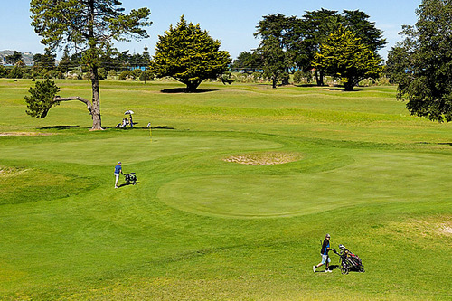 poverty-bay-golf-club_2.jpg