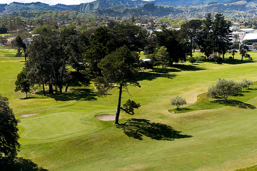 poverty-bay-golf-club_4.jpg