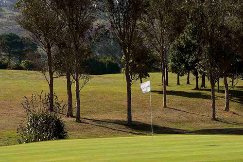 purangi-golf-_-country-club_3.jpg
