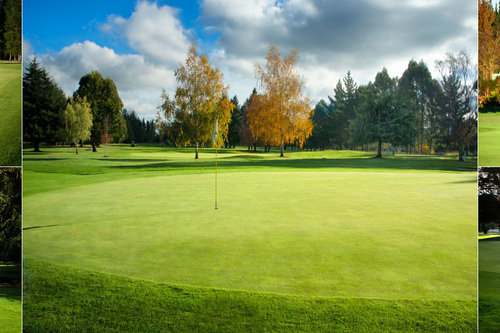 rangiora-golf-club_2.jpg
